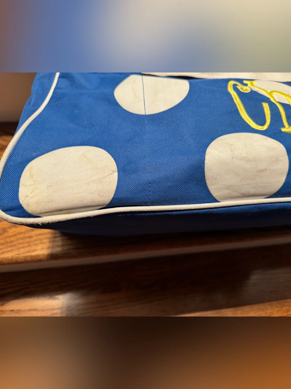 Large blue Chase monogrammed zippered bag